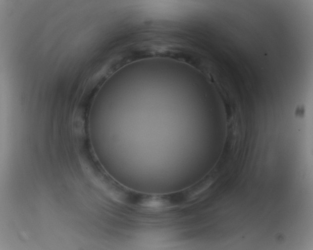 X0000114650754200910201508