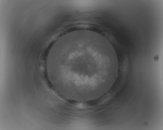 X0000114650755200910201508