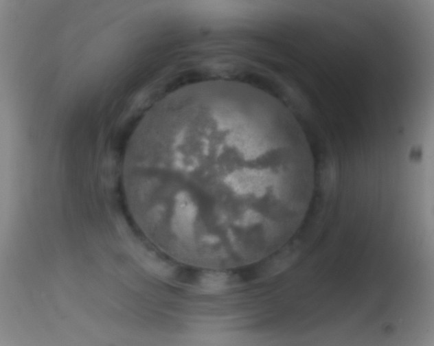 X0000114650757200910201508