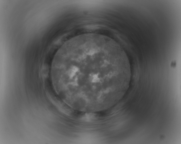 X0000114650758200910201508