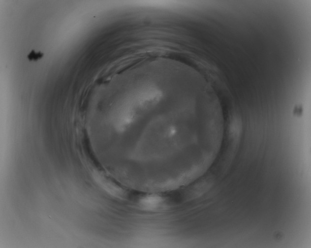 X0000114650759200910201508