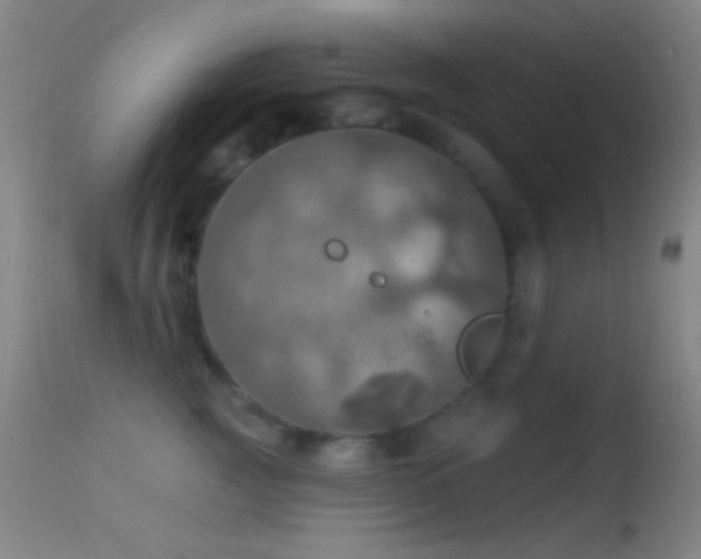 X0000114650761200910201508