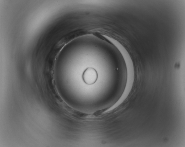 X0000114650762200910201508