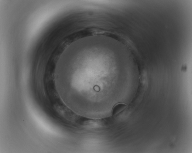 X0000114650763200910201508