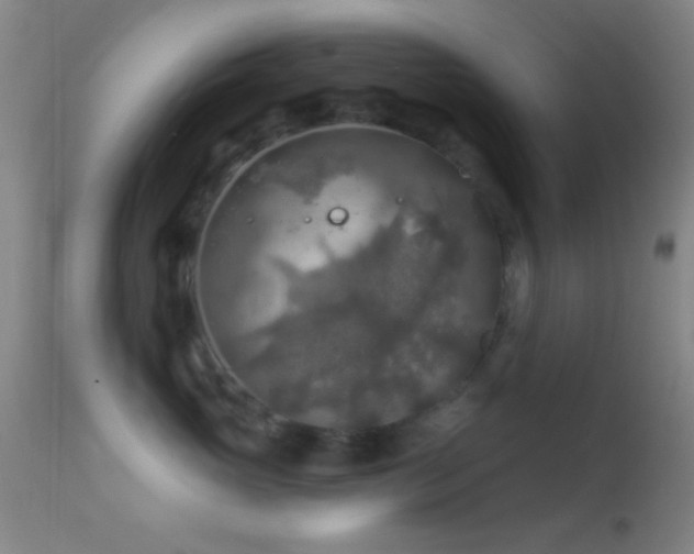 X0000114650765200910201508