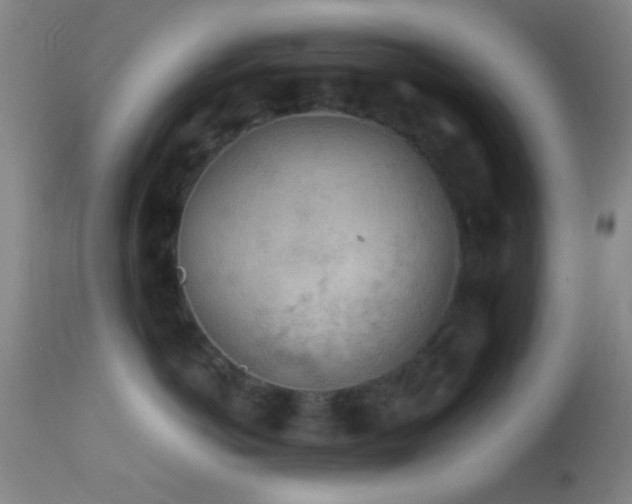 X0000114650766200910201508