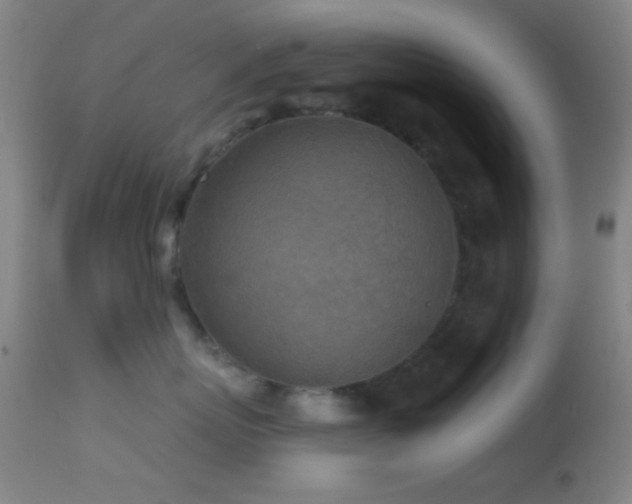 X0000114650767200910201508