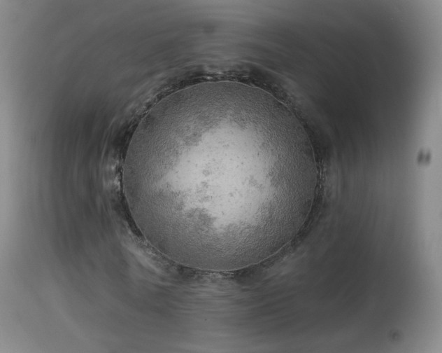 X0000114650770200910201508