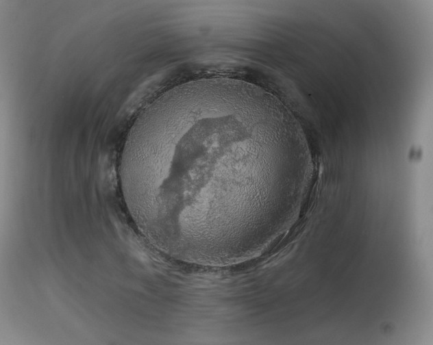 X0000114650771200910201508