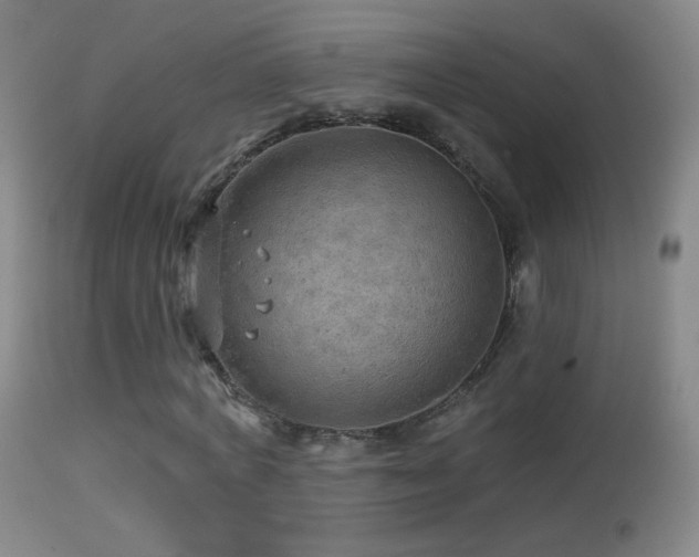 X0000114650772200910201508