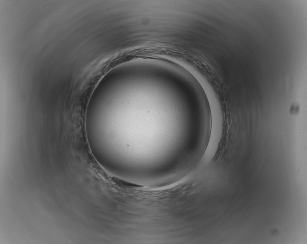 X0000114650773200910201508