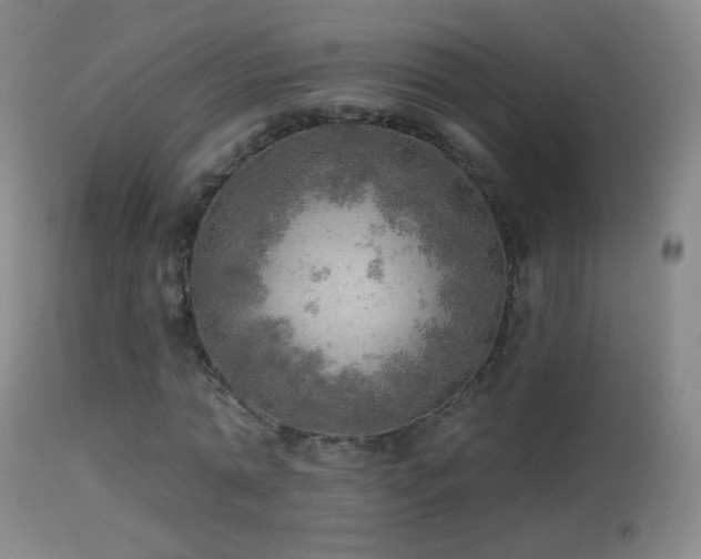 X0000114650774200910201508