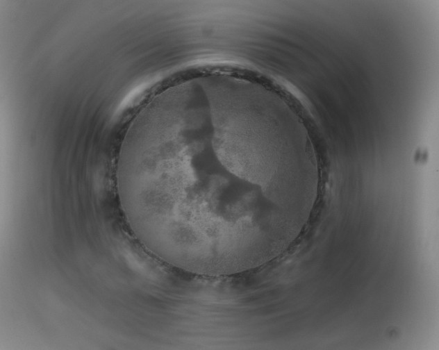 X0000114650775200910201508