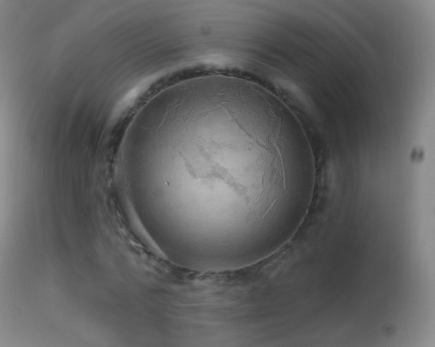 X0000114650776200910201508