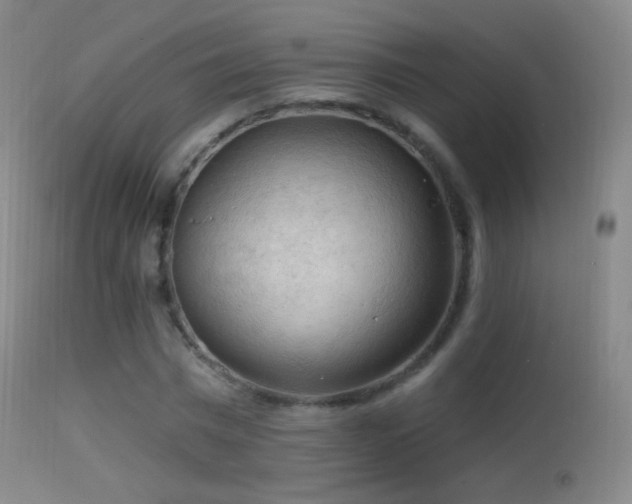 X0000114650777200910201508