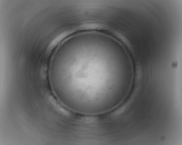 X0000114650778200910201508