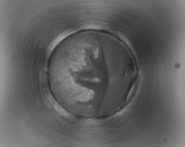 X0000114650779200910201508