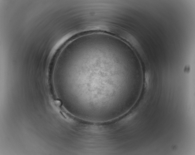 X0000114650780200910201508