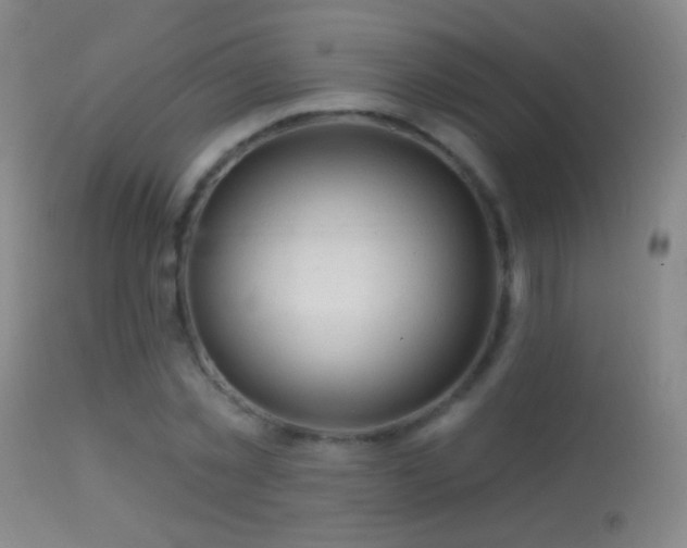 X0000114650781200910201507