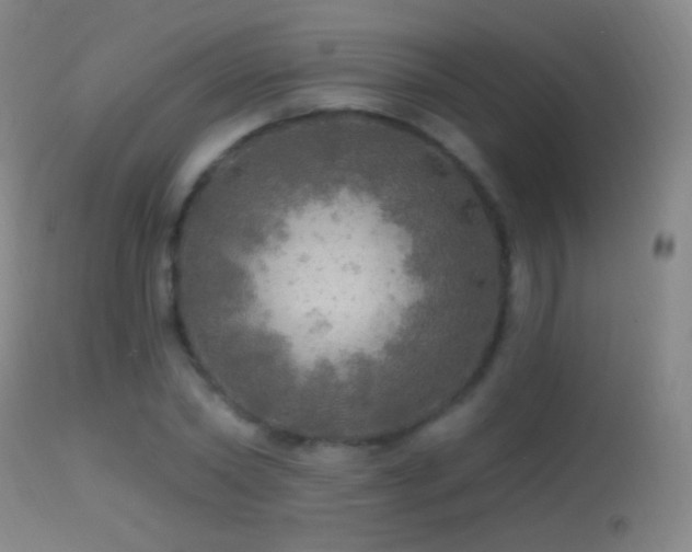 X0000114650782200910201507