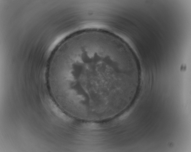 X0000114650783200910201507