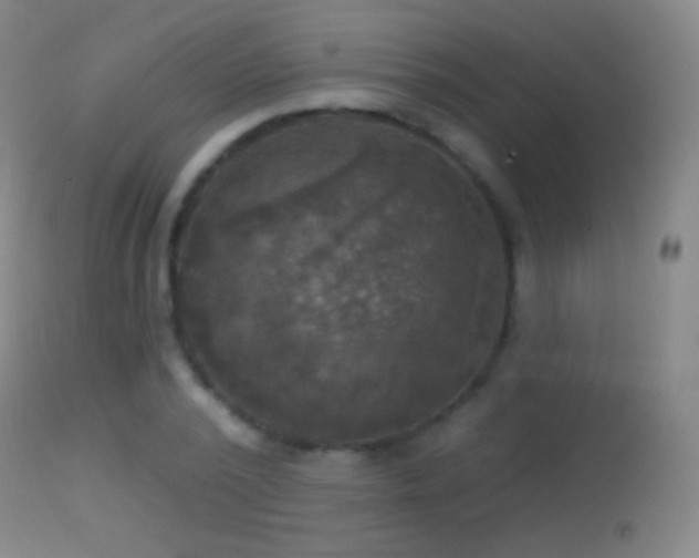 X0000114650784200910201507