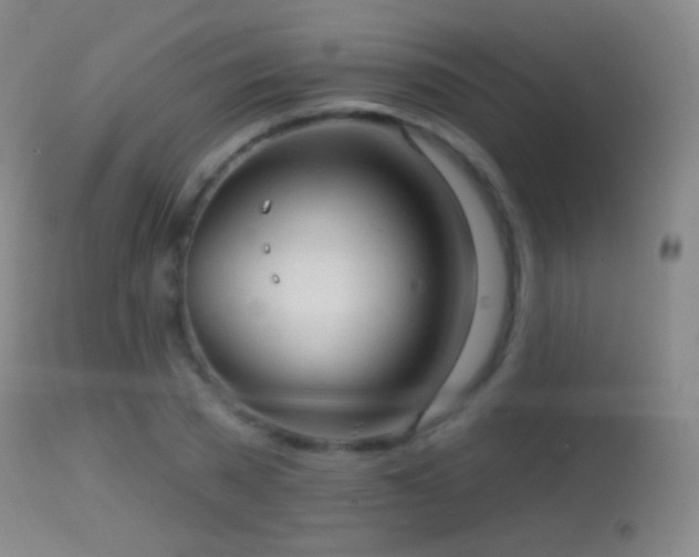 X0000114650785200910201507