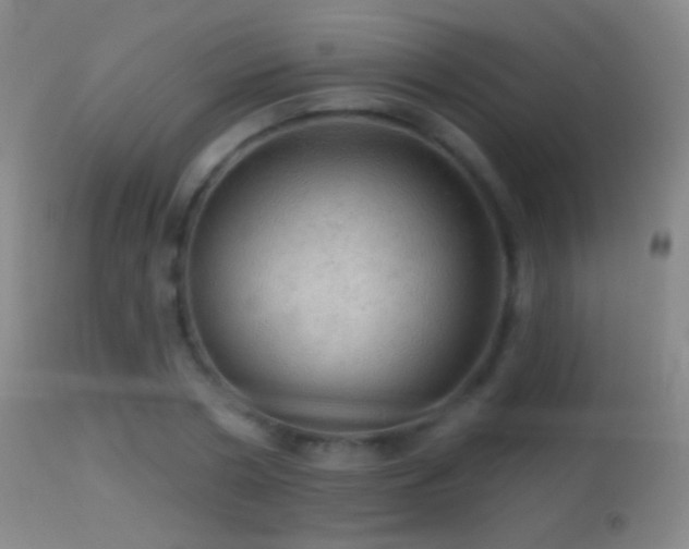 X0000114650786200910201507