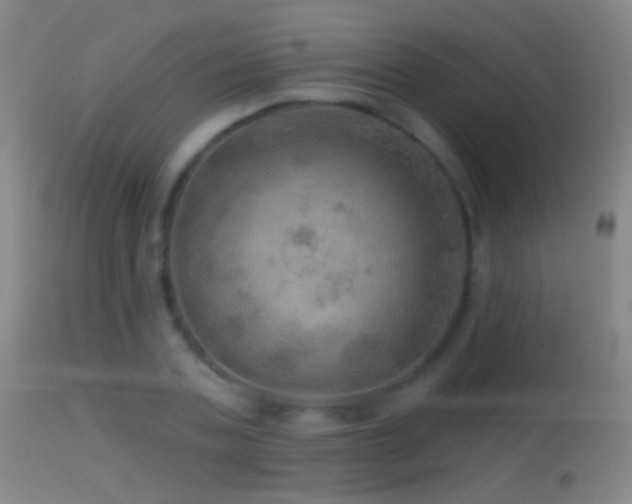 X0000114650787200910201507