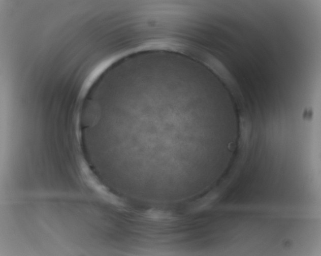 X0000114650788200910201507