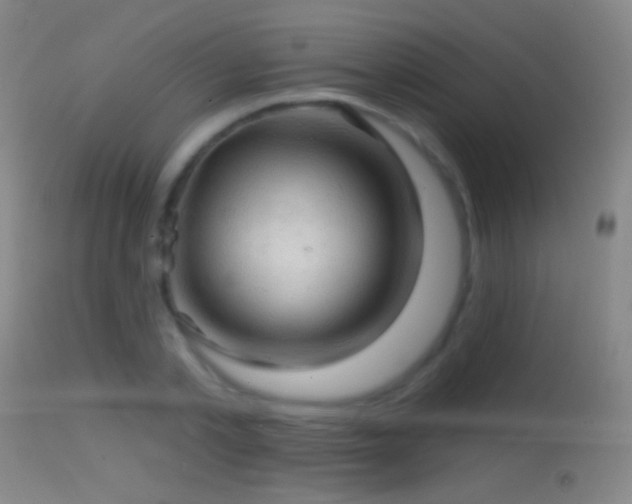 X0000114650789200910201507