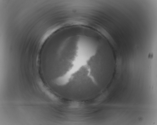 X0000114650790200910201507