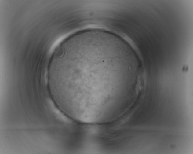 X0000114650791200910201507