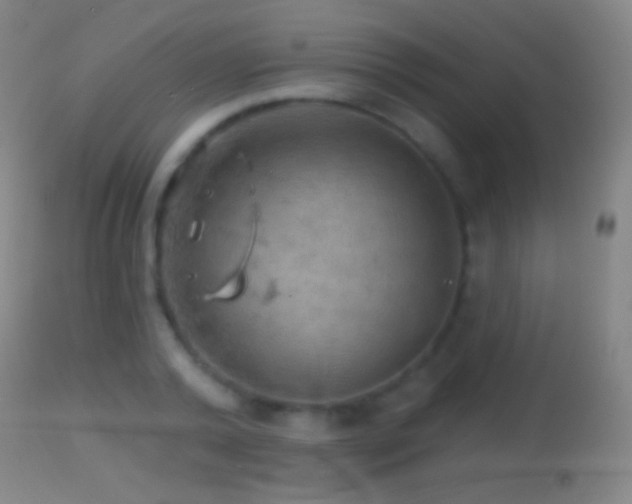 X0000114650792200910201507