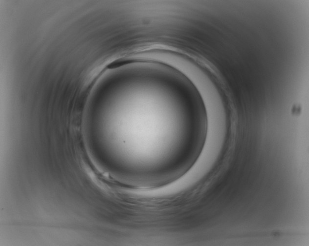 X0000114650793200910201507