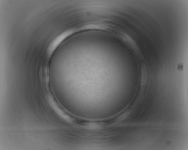 X0000114650796200910201507