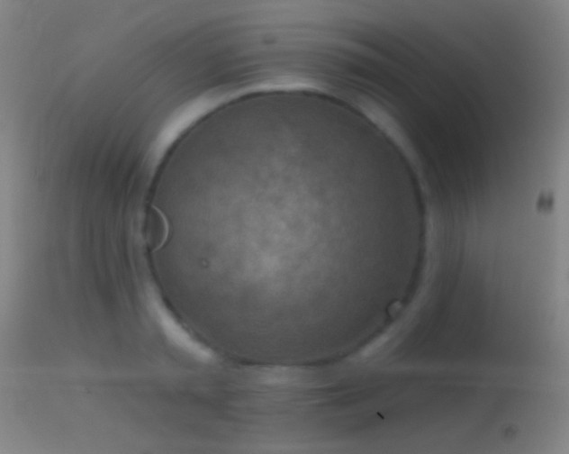 X0000114650797200910201507