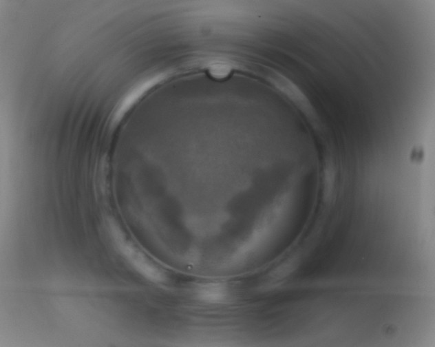 X0000114650798200910201507