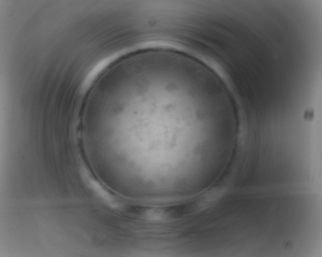 X0000114650799200910201507