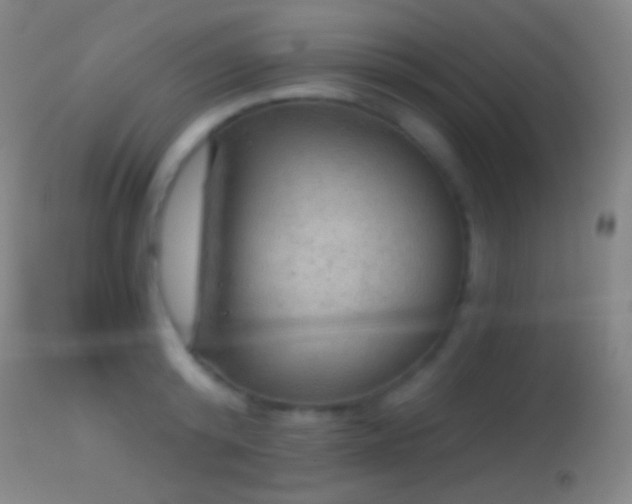 X0000114650800200910201507