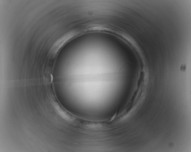 X0000114650801200910201507