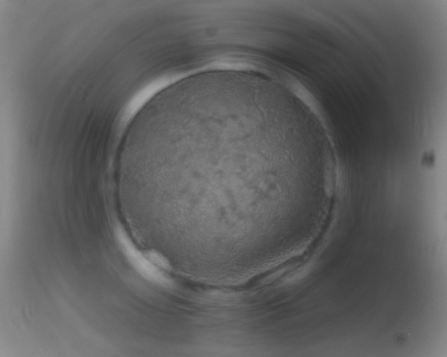 X0000114650803200910201507