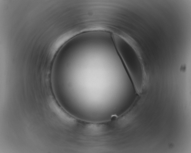 X0000114650805200910201507