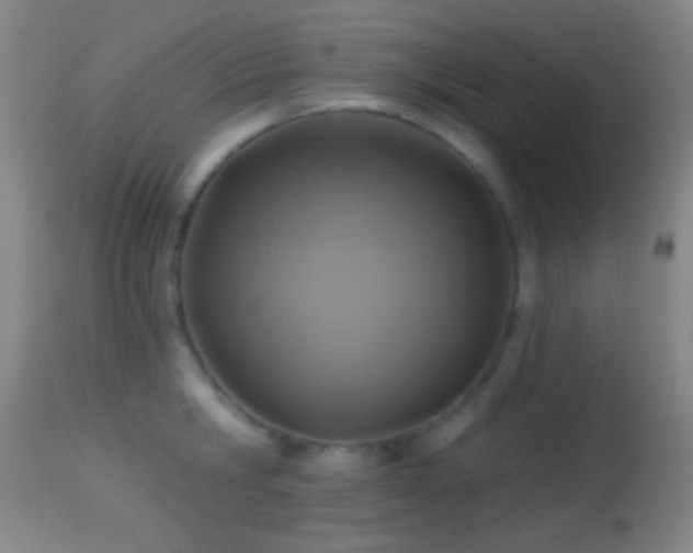 X0000114650806200910201507