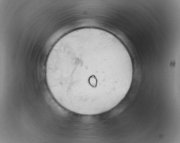 X0000114650807200910201507