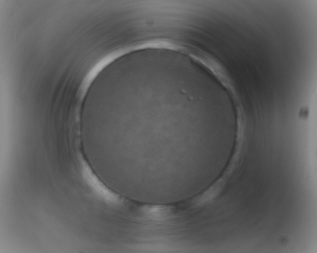 X0000114650808200910201507