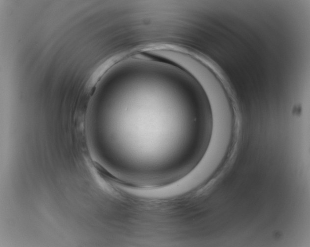 X0000114650809200910201507