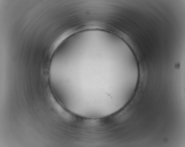 X0000114650810200910201507