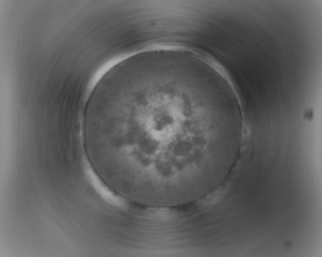 X0000114650811200910201507