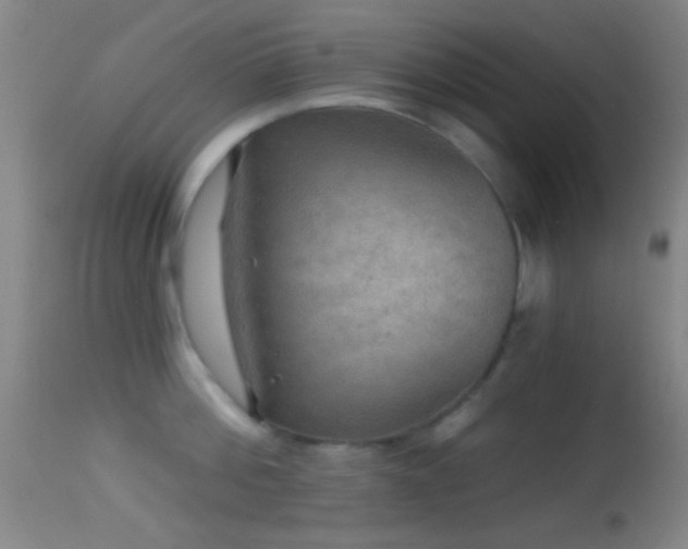 X0000114650812200910201507